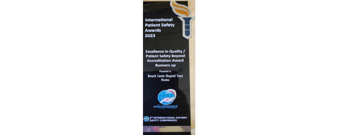 International Patient Safety Award